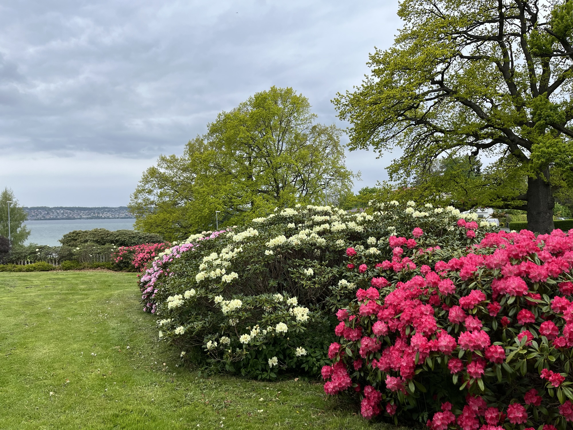 Café Stallgården, Prinsessgången och Rosenlust – Förnöjsamhet och ...